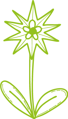 Sichere und inspirierende Spielumgebung in der KITA Glütschbach